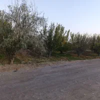 باغ دوبر در کوی پزشکان روستای کردلر (خسروشاه)|فروش زمین و ملک کلنگی|خسروشاه, |دیوار