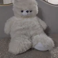 خرس زیبا ودرحد مناسب کادو دادن