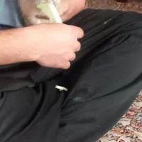 خرگوش خونگی|موش و خرگوش|بروجرد, |دیوار