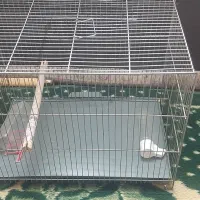 فروش قفس پرنده