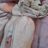 پشمه دام رایگان|عمدهفروشی|اشتهارد, |دیوار