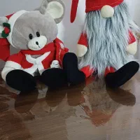 دوعدد عروسک خارجی