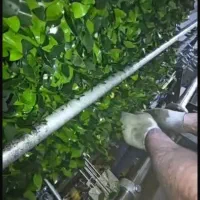 تولید فنس چمن و چمن مصنوعی