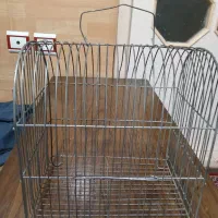 قفس