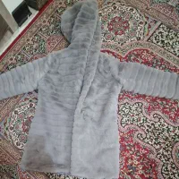 پالتوپشمی|لباس|شاهینشهر, حافظ شمالی|دیوار