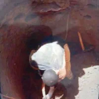 چاه کن ودرخت گرازهستم قیمت مناسب