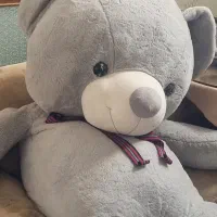 خرس عروسکی
