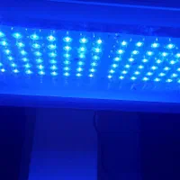 دستگاه زردی