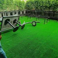 نصاب چمن مصنوعی 25میل|گل مصنوعی|چهارباغ, |دیوار