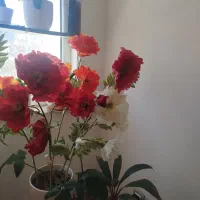 گل مصنوعی شقایق