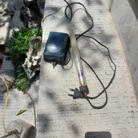 اکواریوم. شازند|ماهی|اراک, |دیوار