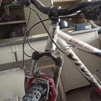 دوچرخه حرفه ای ویوا