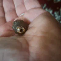 مهره عقیق تبتی|کلکسیون اشیاء عتیقه|تهران, زنجان جنوبی|دیوار