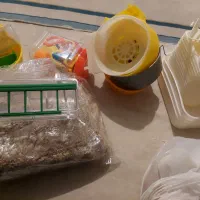 کلی وسایل قناری و پرنده|لوازم جانبی حیوانات|تهران, شمشیری|دیوار