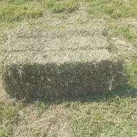 پرس(بیده)یونجه