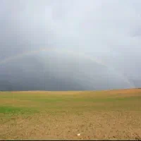 زمین