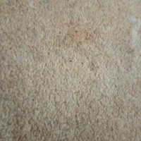 فروش عمده جارو برقی