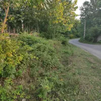 زمین با جواز ساخت با چشم انداز تالاب و باغات چای|فروش زمین و ملک کلنگی|آستانه اشرفیه, |دیوار