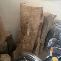 کنده گردو|مصالح و تجهیزات ساختمان|تهران, دکتر هوشیار|دیوار