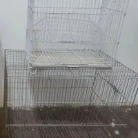 قفس پرنده فروش فوری