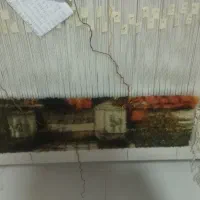 تابلو فرش|تابلو فرش|مشهد, رضاییه|دیوار