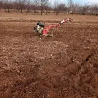 شخم‌زدن‌باتیلر|خدمات باغبانی و درختکاری|سبزوار, توحیدشهر|دیوار