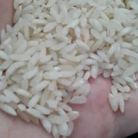 برنج چمپای اصل میداوود|خوردنی و آشامیدنی|بندر ماهشهر, |دیوار