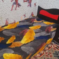 تخت وکمد نوجوان|تخت و سرویس خواب|مشهد, مصلی (کارمندان اول)|دیوار