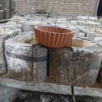 تولید جاسبزه|عمده‌فروشی|لالجین, |دیوار