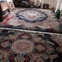 اسکان موقت.