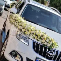 تزئین ماشین عروس با قیمت‌های استثنایی|خدمات پذیرایی، مراسم|کرمانشاه, |دیوار