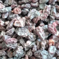 کشمش افتابی