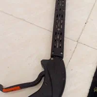 مرغ مینا|پرنده|یزد, |دیوار