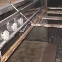 گاری فلافلی