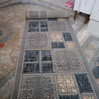 کناره زیبا و طوسی