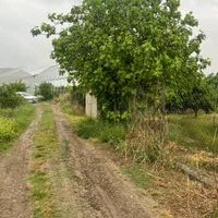 ۴۰۰۰ متر باغ سند دار دور محصور / ۲۰۰ متری آسفالت|فروش زمین و ملک کلنگی|بهنمیر, |دیوار