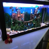آکواریوم شیک و کامل
