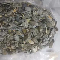 کدو بدون پوست ارگانیک