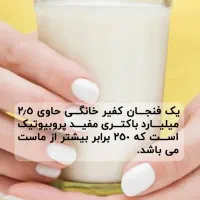 قارچ کفیر|خوردنی و آشامیدنی|آق قلا, |دیوار