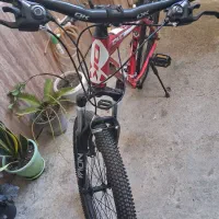 سلام دوچرخه ۲۶ حرفه ای رنگ آلبالویی