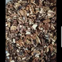 گردو فسنجونی