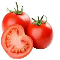گوجه فرنگی قیمت عمده تحویل روز