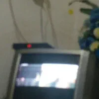یک عدد دیجتال سالم