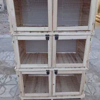 خانه سگ و کفتر مرغ|لوازم جانبی حیوانات|شیروان (خراسان), |دیوار