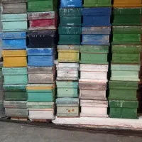 کندو زنبور عسل