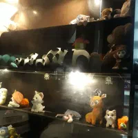 قفسه ودکور مغازه|فروشگاه و مغازه|فشم, |دیوار