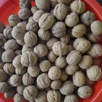 گردو خشک