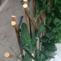 آکاردئون برگی