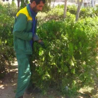 باغبان..انجام هرگونه کار باغبانی