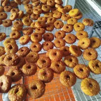 فست فود|کافیشاپ و رستوران|شیراز, شهرک مهرگان|دیوار